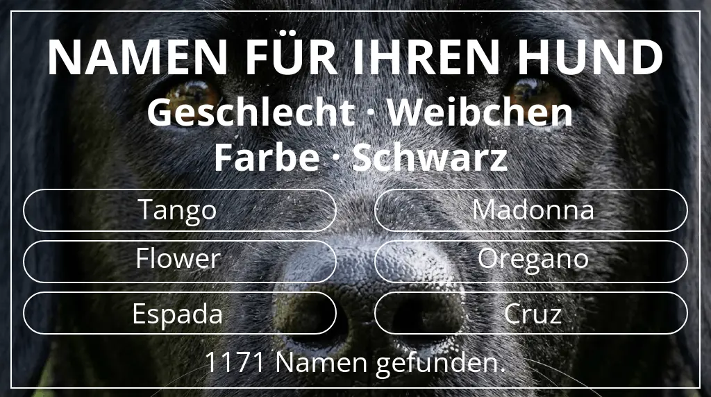 Hundenamen basierend auf geschlecht weibchen und farbe schwarz