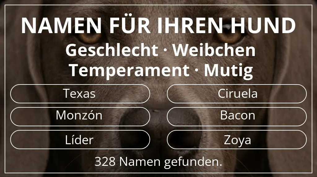 Hundenamen inspiriert von geschlecht weibchen und temperament mutig