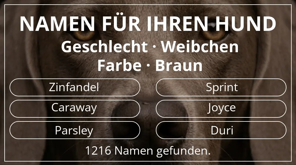 Hundenamen inspiriert von geschlecht weibchen und farbe braun