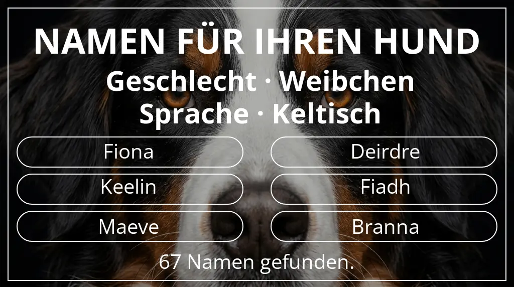 Hundenamen basierend auf geschlecht weibchen und sprache keltisch