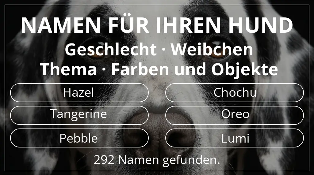 Namen für Hunde basierend auf geschlecht weibchen und thema farben und objekte
