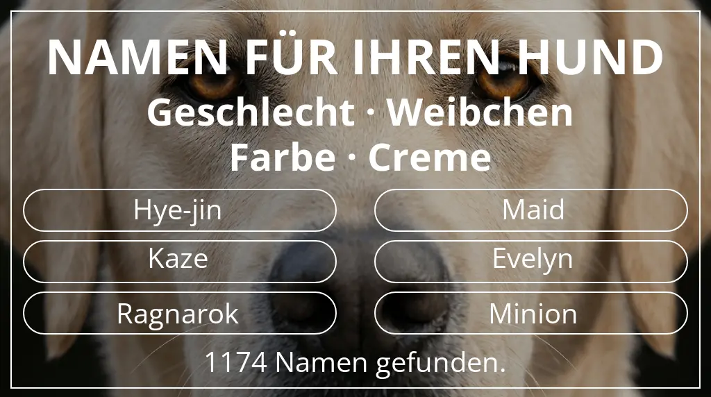 Hundenamen basierend auf geschlecht weibchen und farbe creme