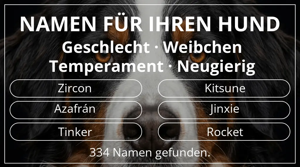 Hundenamen inspiriert von geschlecht weibchen und temperament neugierig