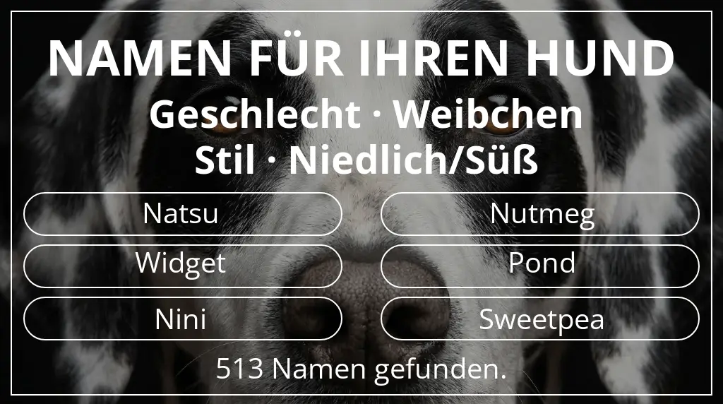 Namen für Hunde inspiriert von geschlecht weibchen und stil niedlich/süß