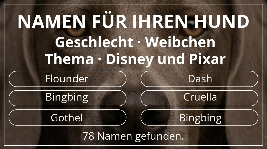 Hundenamen basierend auf geschlecht weibchen und thema disney und pixar