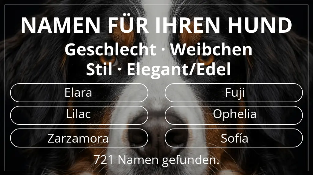 Namen für Hunde inspiriert von geschlecht weibchen und stil elegant/edel