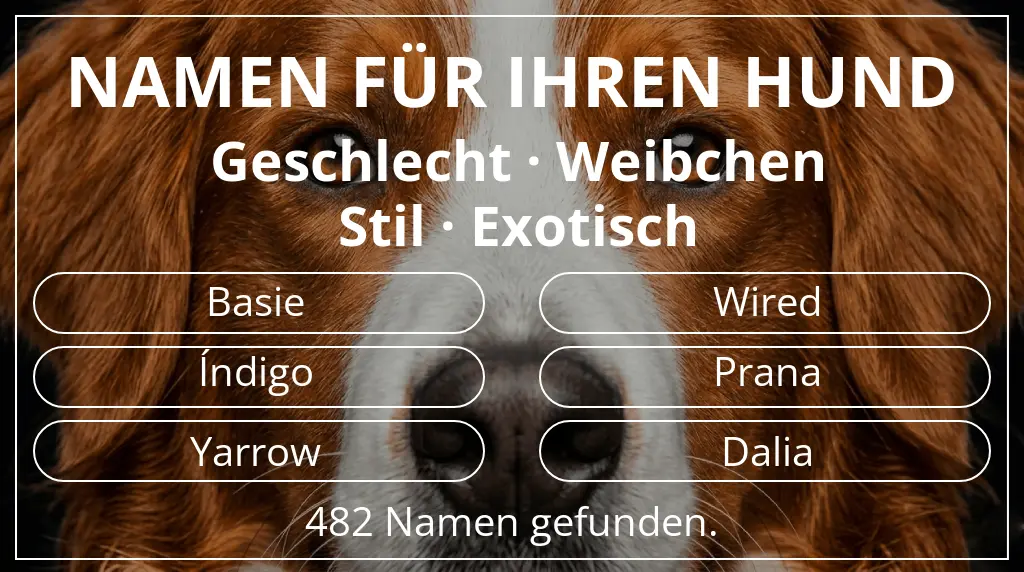 Hundenamen basierend auf geschlecht weibchen und stil exotisch