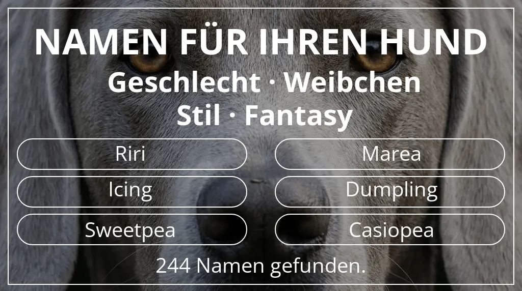 Hundenamen inspiriert von geschlecht weibchen und stil fantasy