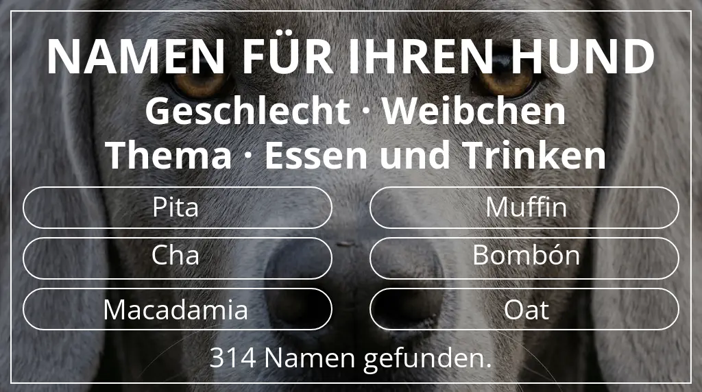 Namen für Hunde inspiriert von geschlecht weibchen und thema essen und trinken