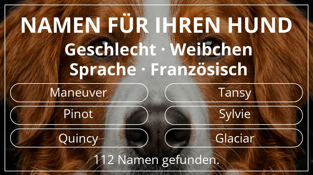 Namen für Hunde basierend auf geschlecht weibchen und sprache französisch