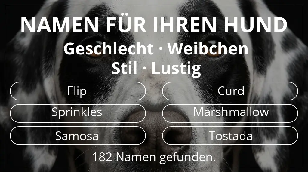 Hundenamen inspiriert von geschlecht weibchen und stil lustig