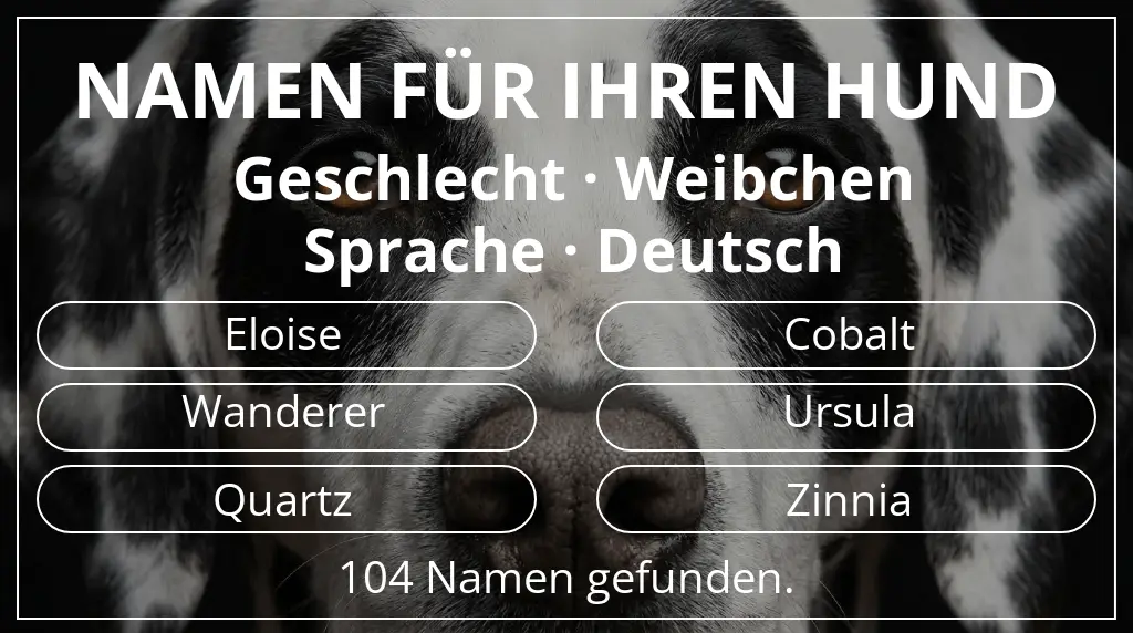 Hundenamen inspiriert von geschlecht weibchen und sprache deutsch