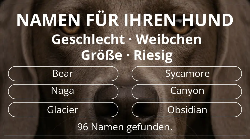 Hundenamen inspiriert von geschlecht weibchen und größe riesig