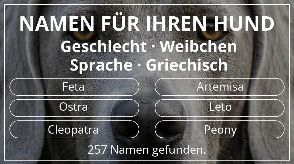 Namen für Hunde basierend auf geschlecht weibchen und sprache griechisch