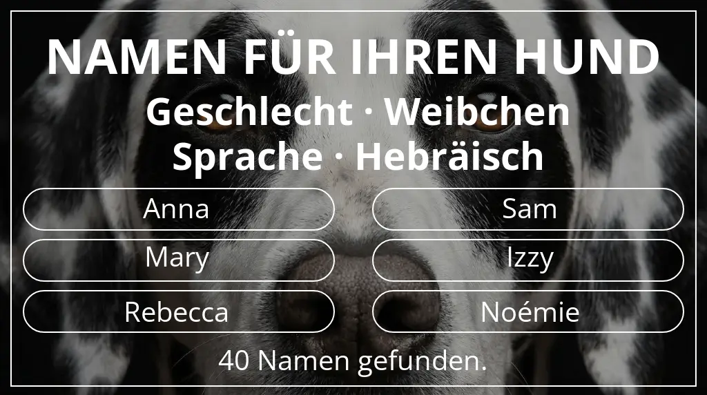 Namen für Hunde basierend auf geschlecht weibchen und sprache hebräisch