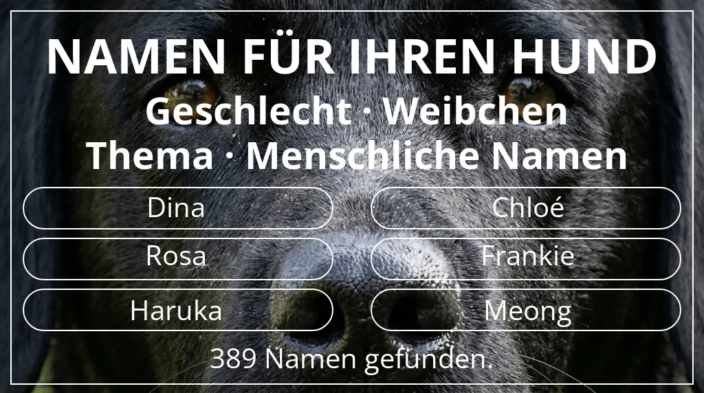 Hundenamen basierend auf geschlecht weibchen und thema menschliche namen