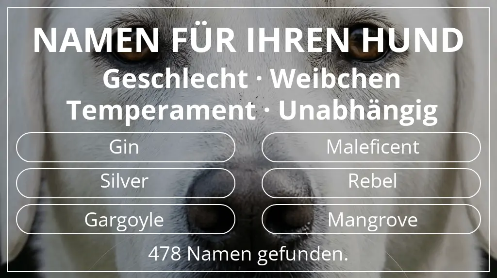 Hundenamen basierend auf geschlecht weibchen und temperament unabhängig