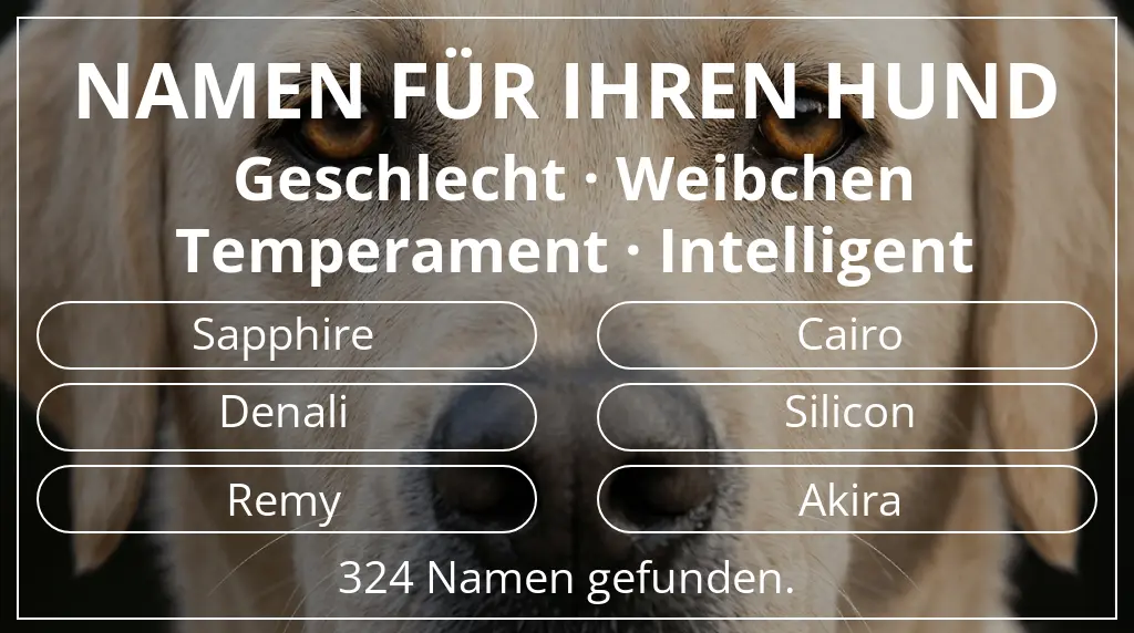 Hundenamen inspiriert von geschlecht weibchen und temperament intelligent