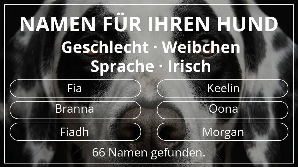 Namen für Hunde inspiriert von geschlecht weibchen und sprache irisch