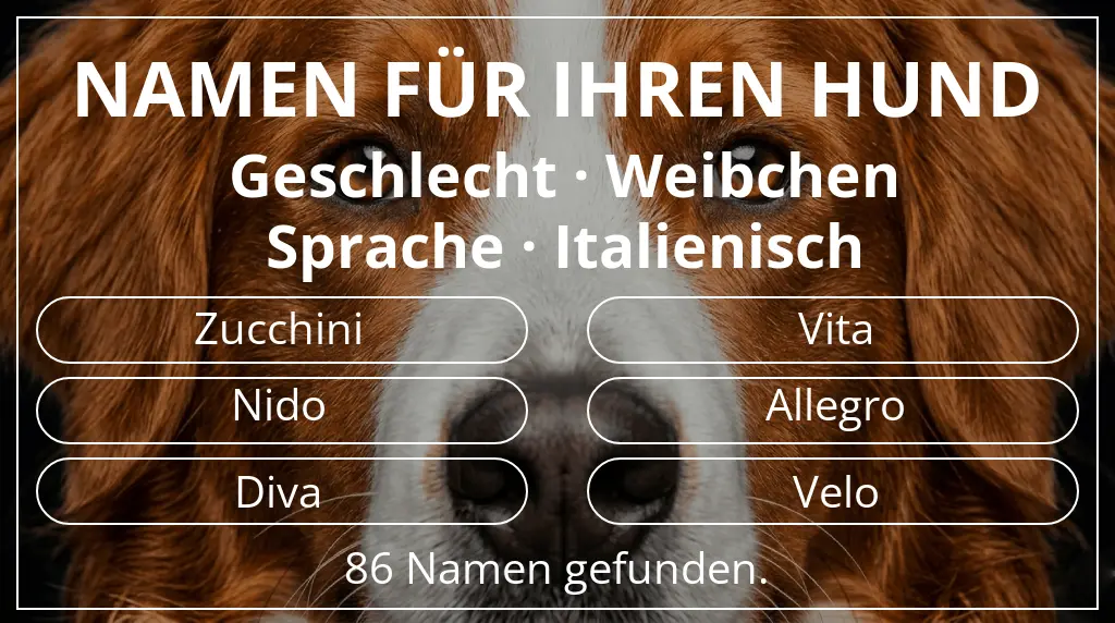 Namen für Hunde inspiriert von geschlecht weibchen und sprache italienisch