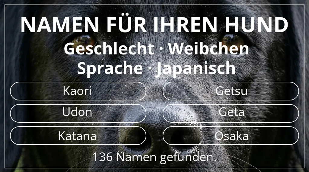 Hundenamen basierend auf geschlecht weibchen und sprache japanisch