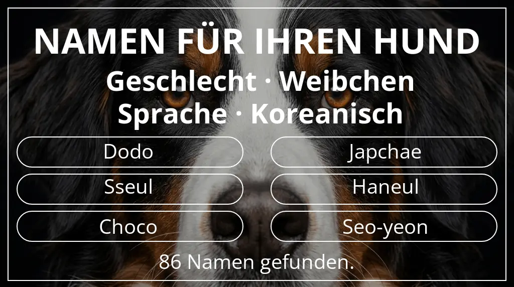 Hundenamen inspiriert von geschlecht weibchen und sprache koreanisch