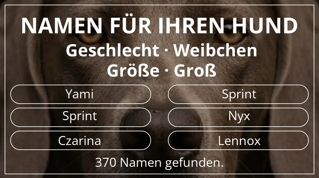 Namen für Hunde inspiriert von geschlecht weibchen und größe groß