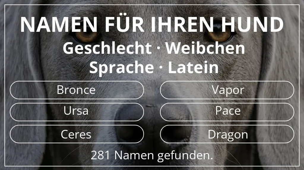 Hundenamen basierend auf geschlecht weibchen und sprache latein