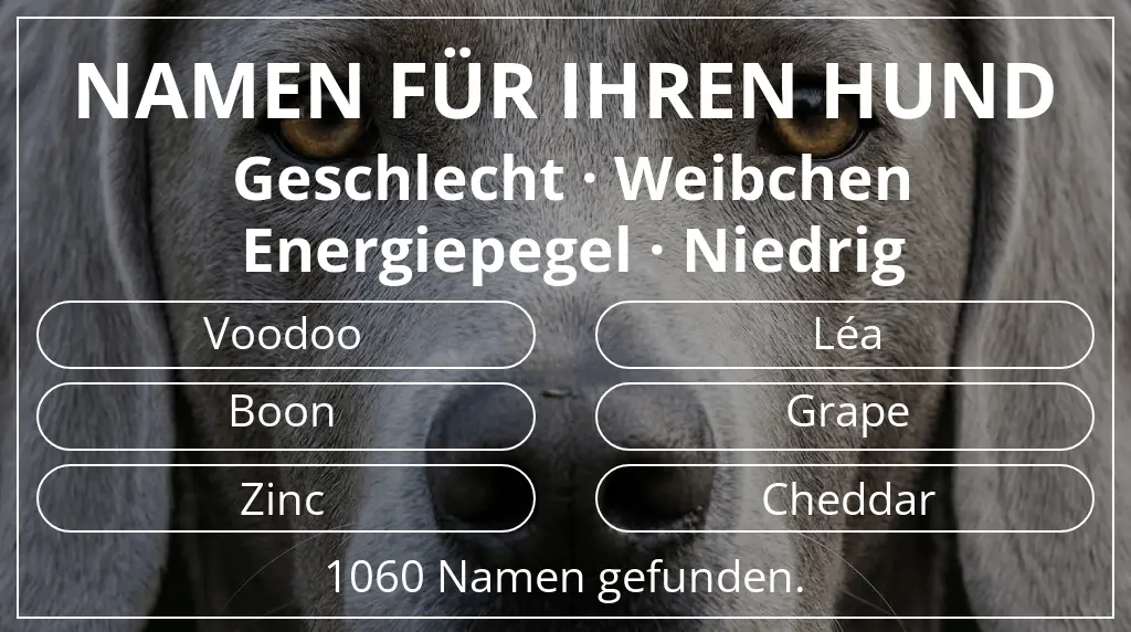 Hundenamen basierend auf geschlecht weibchen und energiepegel niedrig