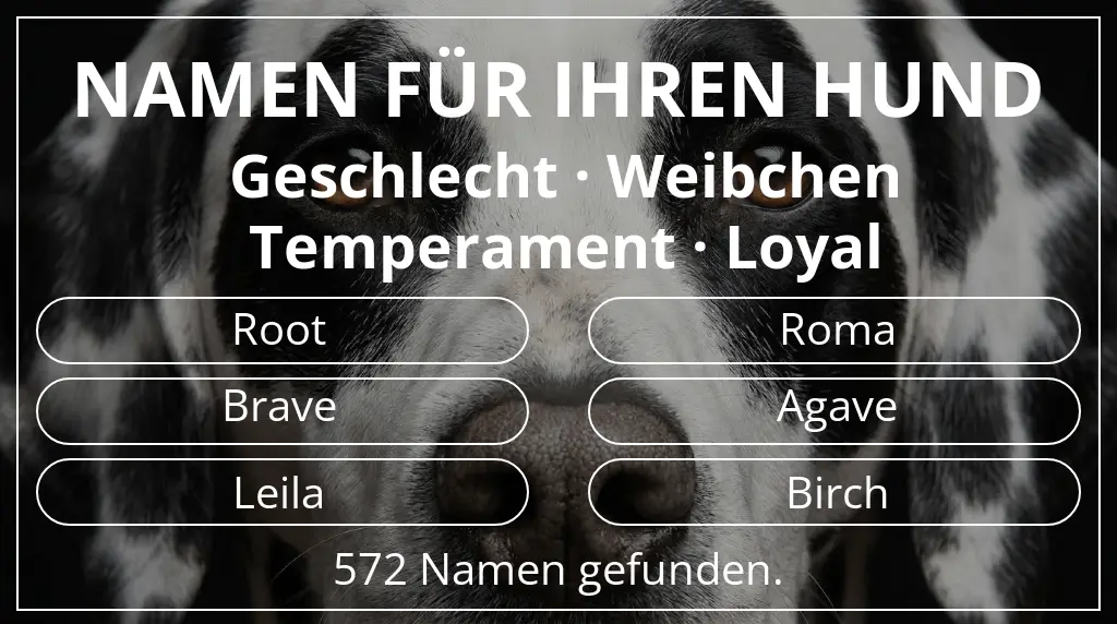 Namen für Hunde basierend auf geschlecht weibchen und temperament loyal