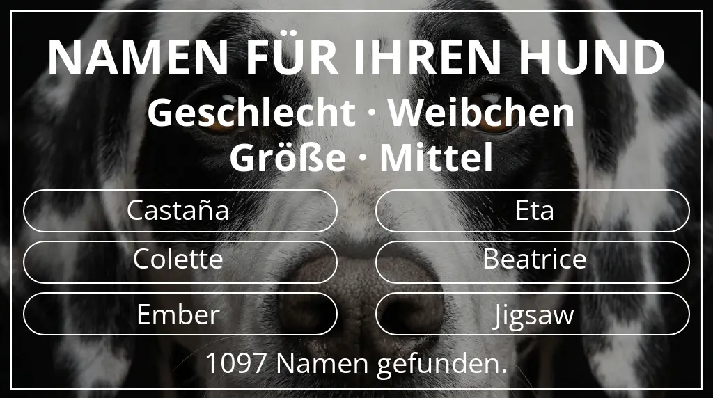 Namen für Hunde inspiriert von geschlecht weibchen und größe mittel