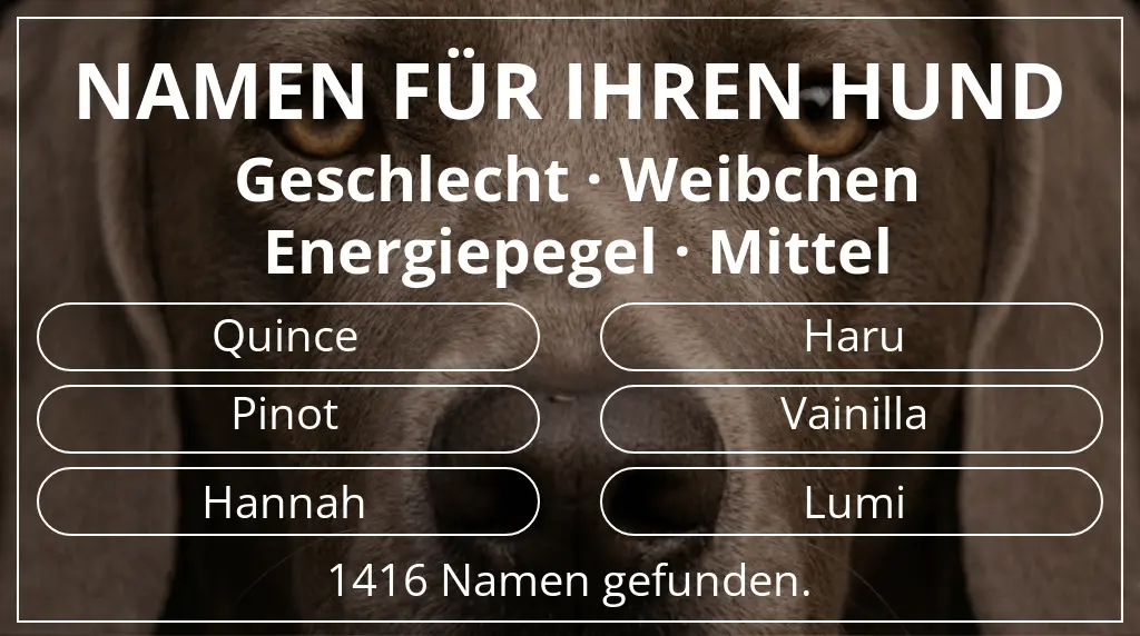Hundenamen inspiriert von geschlecht weibchen und energiepegel mittel