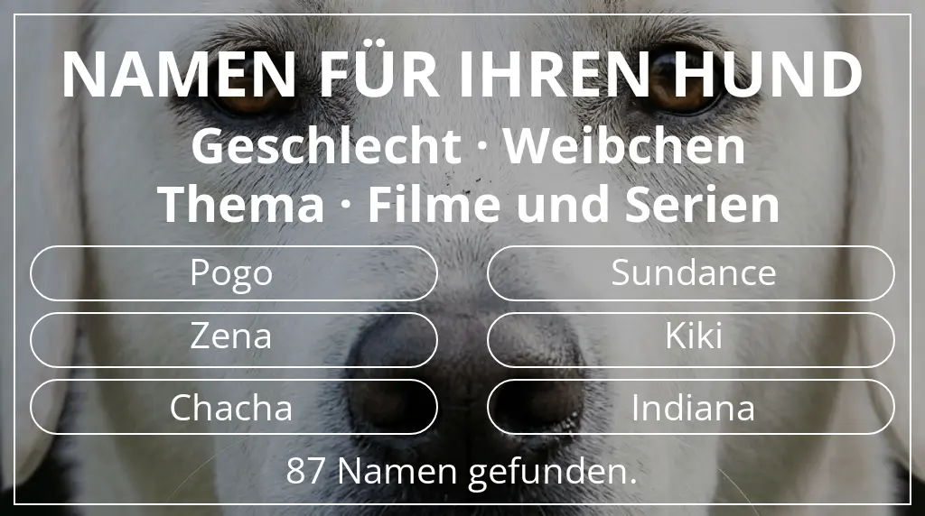 Hundenamen basierend auf geschlecht weibchen und thema filme und serien