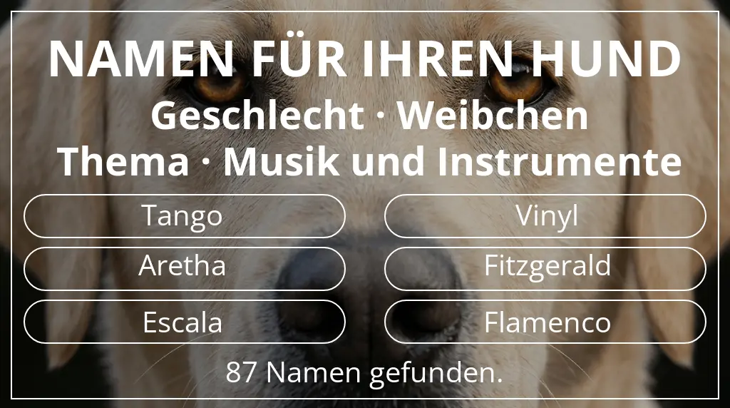 Namen für Hunde inspiriert von geschlecht weibchen und thema musik und instrumente