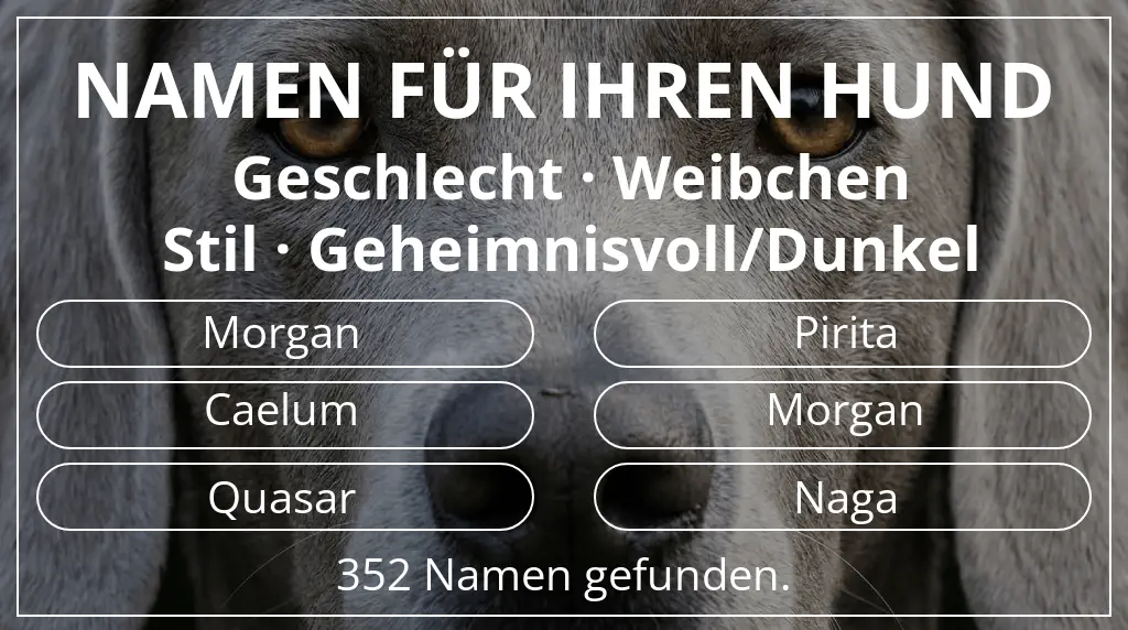 Hundenamen basierend auf geschlecht weibchen und stil geheimnisvoll/dunkel
