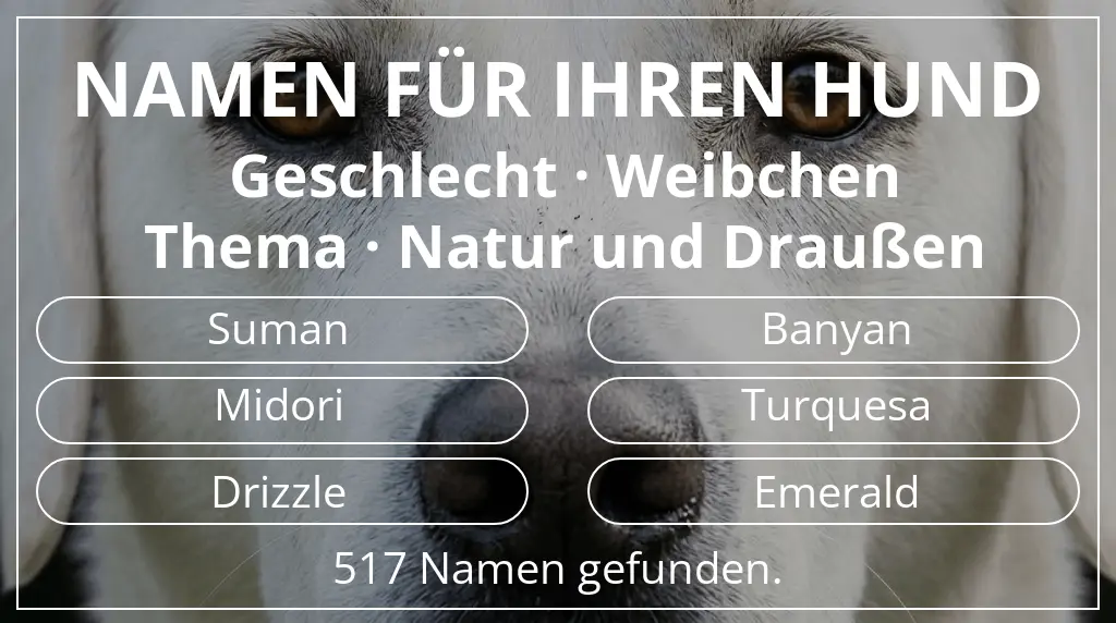 Hundenamen inspiriert von geschlecht weibchen und thema natur und draußen