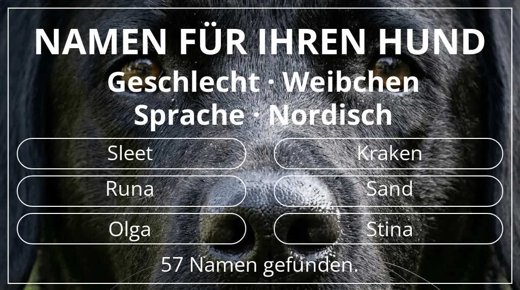 Namen für Hunde inspiriert von geschlecht weibchen und sprache nordisch