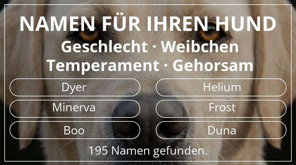 Namen für Hunde inspiriert von geschlecht weibchen und temperament gehorsam