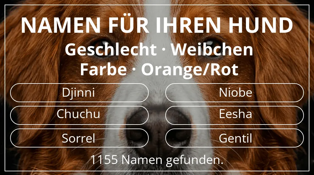 Hundenamen basierend auf geschlecht weibchen und farbe orange/rot