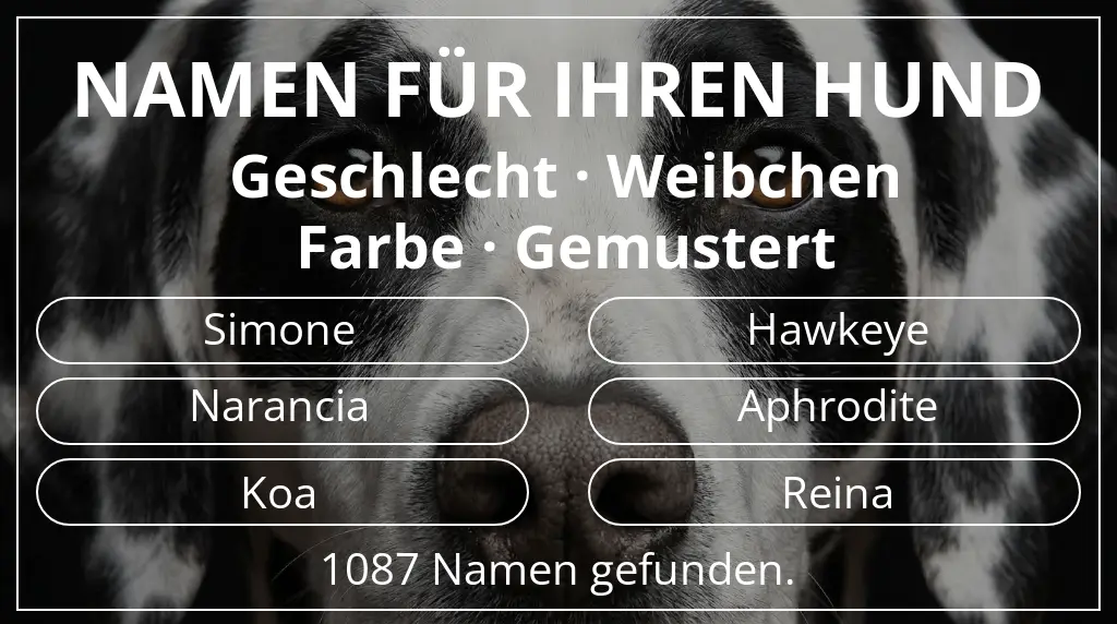 Namen für Hunde basierend auf geschlecht weibchen und farbe gemustert
