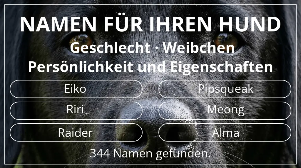 Namen für Hunde inspiriert von geschlecht weibchen und thema persönlichkeit und eigenschaften