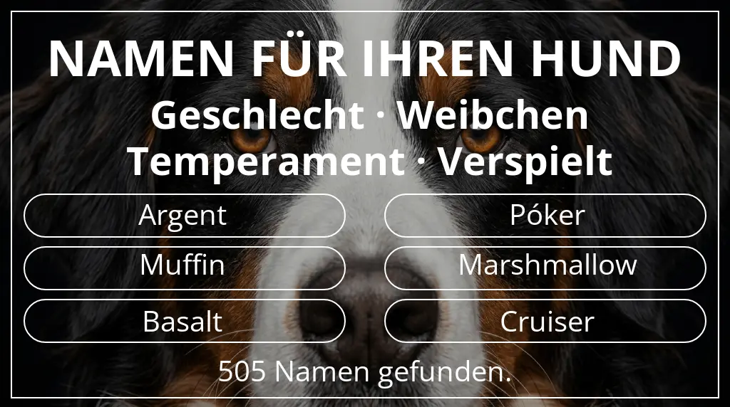 Hundenamen basierend auf geschlecht weibchen und temperament verspielt