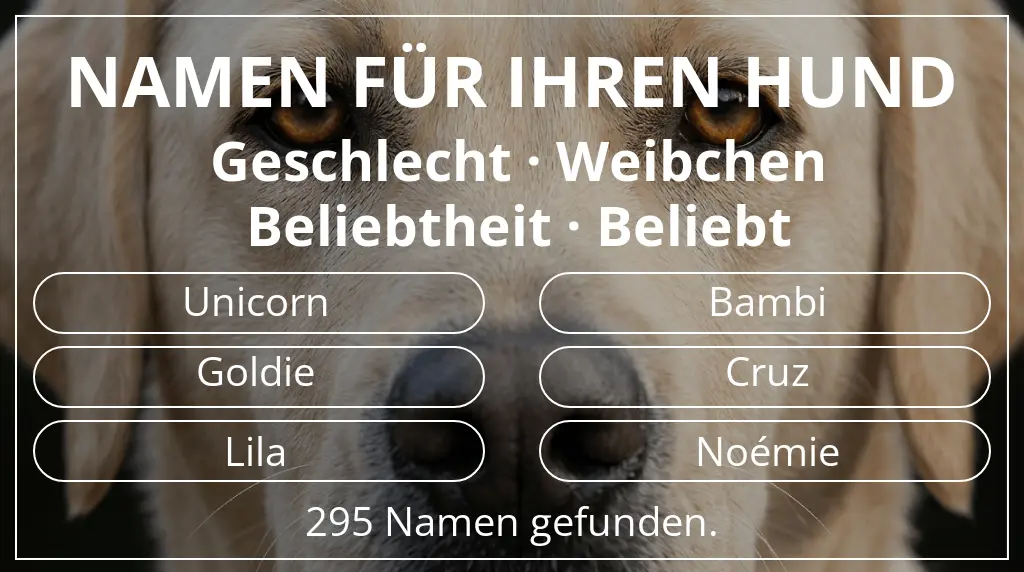 Namen für Hunde inspiriert von geschlecht weibchen und beliebtheit beliebt