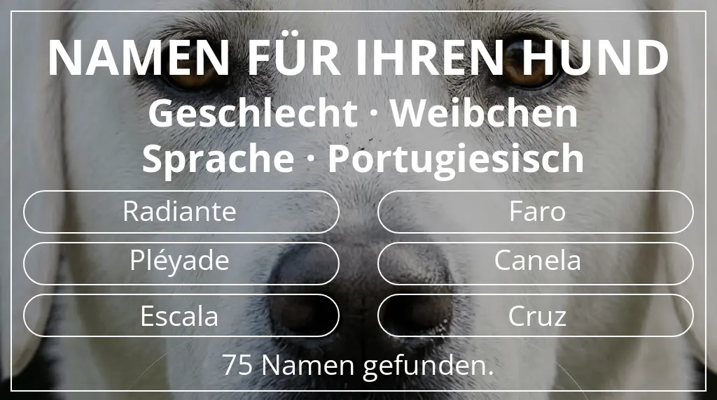 Hundenamen inspiriert von geschlecht weibchen und sprache portugiesisch