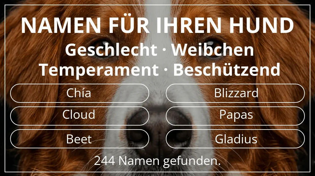 Namen für Hunde inspiriert von geschlecht weibchen und temperament beschützend