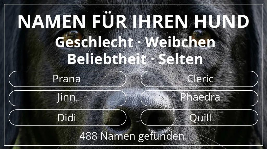 Hundenamen inspiriert von geschlecht weibchen und beliebtheit selten