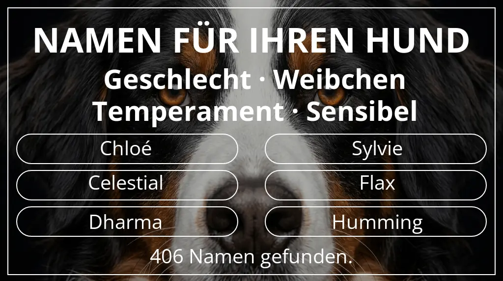 Namen für Hunde basierend auf geschlecht weibchen und temperament sensibel