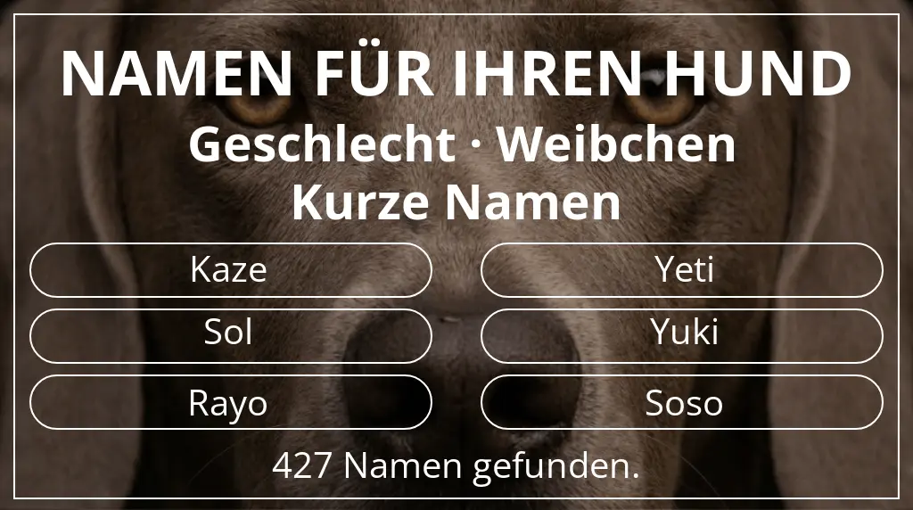 Hundenamen basierend auf geschlecht weibchen und namenslänge kurz (2–4)