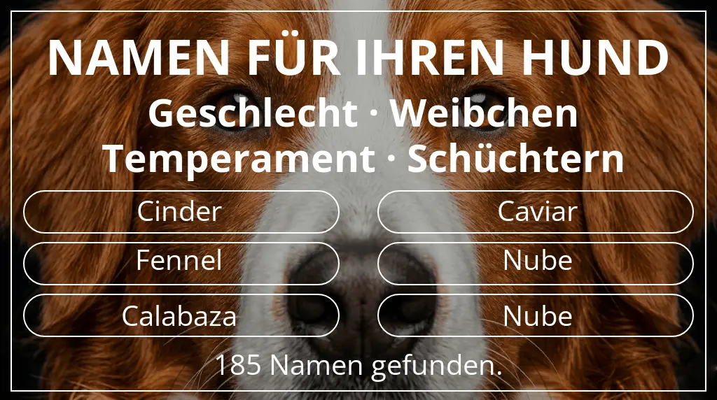 Namen für Hunde inspiriert von geschlecht weibchen und temperament schüchtern