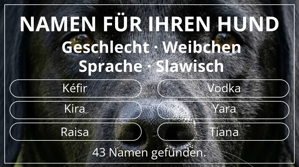 Namen für Hunde inspiriert von geschlecht weibchen und sprache slawisch